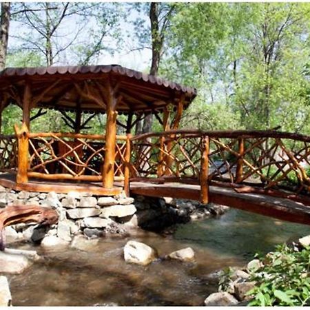Pensiunea Pentru Tine Prietene Arcani Extérieur photo