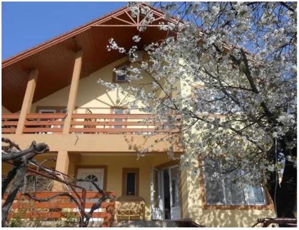 Pensiunea Pentru Tine Prietene Arcani Chambre photo