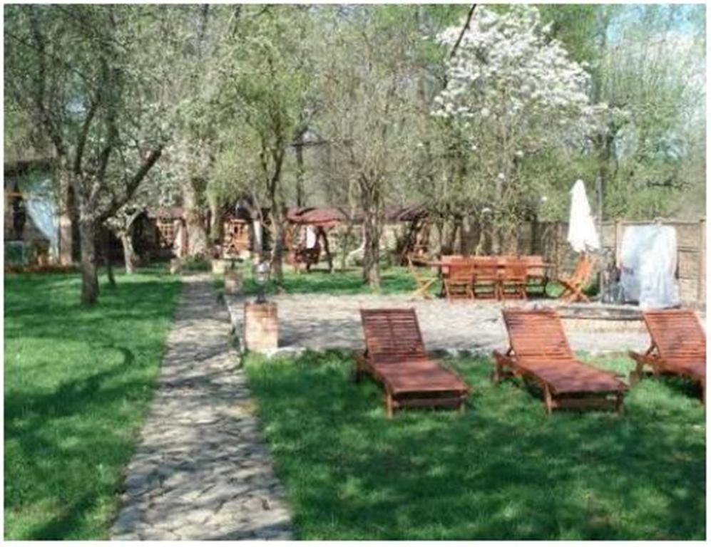 Pensiunea Pentru Tine Prietene Arcani Chambre photo