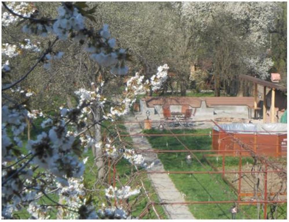 Pensiunea Pentru Tine Prietene Arcani Chambre photo